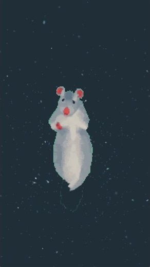 Rat dance