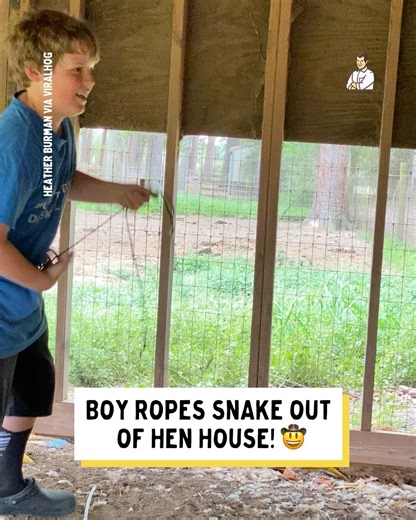 The snake was fine after this (just for clarification) 👏🐍 | Dad Jokes