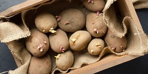 Sprouted Potatoes Are Actually Toxic—What To Know Before Eating Them