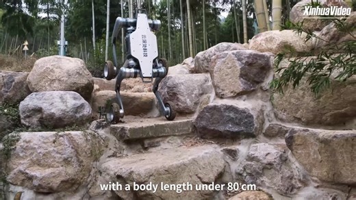 10K views · 75 reactions | Meet "#lynx", the latest all-terrain quadruped robot developed by Chinese company DEEP Robotics. It is engineered to conquer steep slopes and navigate tight spaces with ease. | China Xinhua Sci-Tech | Facebook