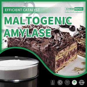 [Hot Item] Chemical Food Additive Natural Ingredient CAS 9000-92-4 Maltogenic Amylase Enzyme Powder
