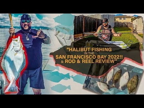 " Halibut Fishing In The San Francisco Bay 2022!! & Rod & Reel Review ”