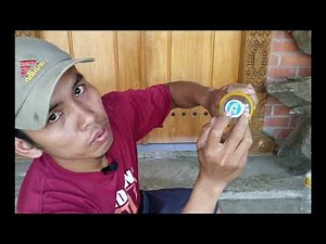 trik membuat tempat minum / botol minum kelinci praktis murah