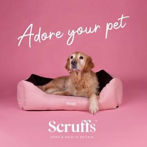 Love is in the air, and so is the cosy comfort of Scruffs! 💕🐾 This Valentine's Day, treat your furry friend to the ultimate snuggle session with our irresistibly soft beds. Because nothing says 'I love you' like a purr-fectly comfortable nap. 🛏️🐱 Happy Valentine's Day from Scruffs! 💖 | Scruffs