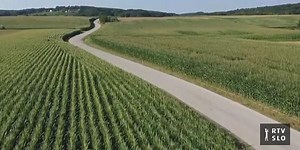 Prekmurščina med evangeličani