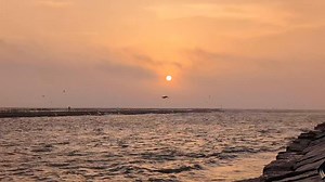 Sunrise and Pelicans this morning, looking out towards the North Packery Channel Jetty 🌊☀️ | Padre Island Madre