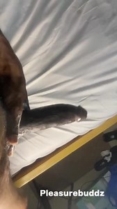 Jerking off to the sight of my ebony girlfriend body