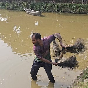 58K views · 464 reactions | Traditional Net Fishing - Lot Of Big Fish Hunting By Cast Net - Fishing In Village Pond (Part-59) #fishing #netfishing #fishing24 | Fishing 24 | Facebook