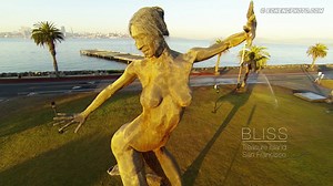 Bliss Dance, Treasure Island, San Francisco (Aerial)