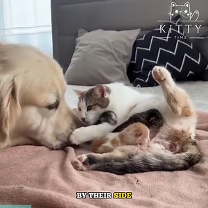 My Lovely Myanmar Travels & Tours | My Lovely Myanmar Travels & Tours | Facebook