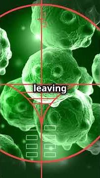 mRNA Vaccines A New Hope