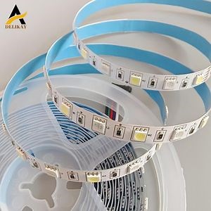 [Hot Item] RGBW Super Bright Series DC12/24V 5050SMD 60LEDs Flexible LED Strip Lights
