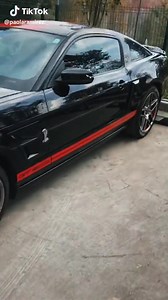 3.2K views · 52 reactions | Shelby  | Racing X | Facebook