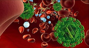 Medical Animation of Hiv And Aids - What is Hiv/Aids