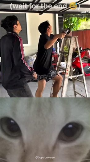 Watch until the end 😅😂|#shorts #funny #fails #viral #comedy #funnyvideo #lol #trynottolaugh