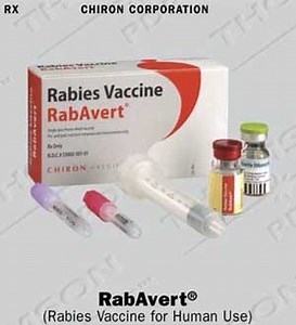 Treatment of Rabies