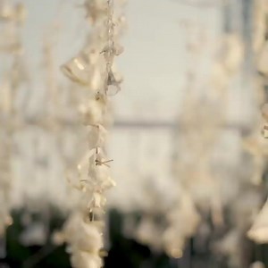 Meri beauty kesi ha? #Neelam #neelammuneer #cute #girls #girlsfashion #beauty #beautiful #beautyqueen #white #whitedress | Neelam_Muneer