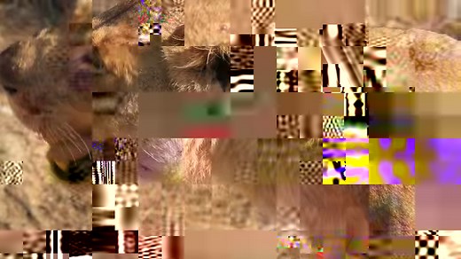 Watch as the lioness picks up a chunk of meat from the grass and devoured it #Wow #reels #reelsfb #reelsviral #viralpage #video #africa #Amazing #life #wildlife #travel #trending #trend #reelsvideo #animal #nature #viral | African Bush Kingdom