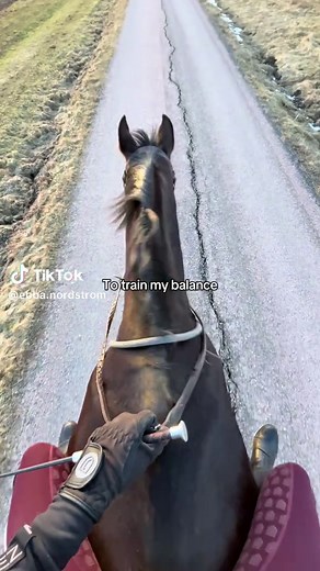 Rider's Journey: Mastering Balance for Bareback Riding