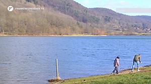1.6K views | Achtung: am Happurger Baggersee sind Burgunderblutalgen festgestellt worden. | Franken Fernsehen | Facebook