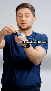 Your stretch reflex (myotatic reflex) is governed by your muscle spindles, sensory receptors inside your muscles that are sensing for “too fast” or “too far”. If your spindles sense you’re at risk of injury, they signal to your nervous system to contract. This is why your body fights you in a stretch. It’s worried you’ll hurt yourself. There are a number of tricks to reduce your stretch reflex, but here are the top two: (1) Breathe to relax, into the count of four, out for eight (2) Repetition, 