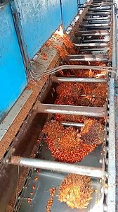 #Ini adalah proses pengisian Tandan Buah Segar (TBS) di FFB station loading ramp di PKS. • #Waktu yang diperlukan untuk proses pengisian TBS ini dari loading ramp ke bejana rebusan Vertikal kapasitas 20 ton adalah 10 menit. • #Untuk menghasilkan kualitas produksi yg bagus maka kriteria matang panen TBS juga merupakan faktor penting dalam pemeriksaan kualitas buah di stasiun penerimaan TBS. • #TBS yang baik memberikan kemungkinan untuk mendapatkan hasil produk yang baik bila diproses dengan benar