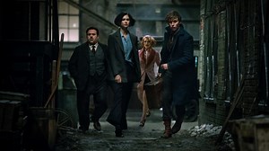 12K views · 271 reactions | Fantastic Beasts and Where to Find Them...
