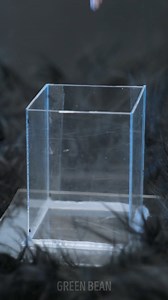 Creating mono-earring from an octopus tentacle 🐙 #newidea #fun #unique #crafting #greenbean | Green Bean