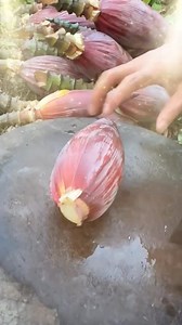 376K views · 31K reactions | Asi es, amén ✅ .  Walt Disney: el...