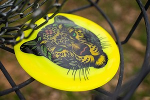Innova Champion Leopard - Dyed Disc Golf Fairway Driver, 173.3g - Etsy Canada