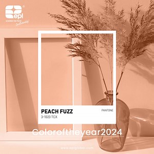 Peach Fuzz for 2024 is a hue that exudes a cozy and tender vibe, that adds a touch of refinement to fashion, beauty, and lifestyle products. Peach Fuzz’s versatility shines in its ability to complement various colors, especially shades of blue. Emotionally, it represents a deep connection to the simple joys of life, encouraging us to slow down and appreciate the beauty in everyday moments. #ColoroftheYear2024 #PeachFuzz #Pantone #EPL #trendingcolors | EPL Ltd. | Facebook