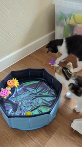 15K views · 1.2K reactions | ❤ SPUD UPDATE TIME! ❤ We were allowed...