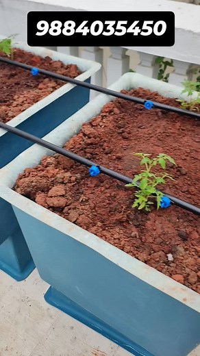 949 reactions · 90 shares | Hi-Tech Drip Box – The World’s Best Automatic Farming System!  Experience smarter farming with zero hassle. From water-saving technology to fully automated control, we make farming easier, faster, and more efficient than ever before!  Save Water  Boost Plant Growth ⚙️ Fully Automatic Operation For more details, feel free to contact: Alexander – 98840 35450 | My Green Organic Farm | Facebook