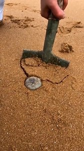 Catch Fish in the sea | Alive Nature