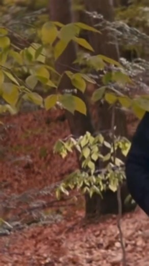 Sandra Bullock Turned a Hike Into a One-Woman Broadway Show | Sandra Bullock Fans