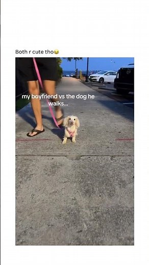 Get your Shein card from my byo 🎀