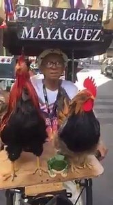 29K views · 529 shares | Lining up and ready to march! #PRparade | National Puerto Rican Day Parade | Facebook
