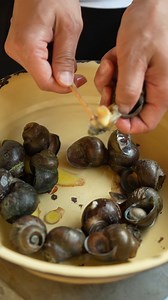 collect clams from the stream, and roast chicken with friends in the courtyard | Starcast