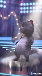 Ionut Manelistu - As pleca cu tine in lume Pentru toti indragostitii! 😂😂😂 | Singurel Prin Tări Străine