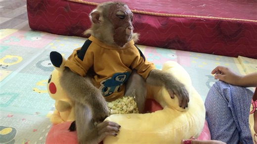 5K views · 637 reactions | Clever Jason Sitting Sculpture To Beauty Care Agree With Mom Serve | Monkey Jason | Facebook