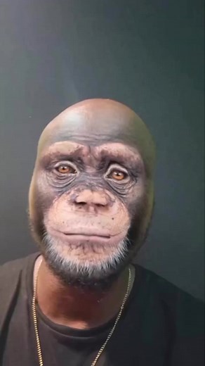 Twenty Fingers | Moz Massoko