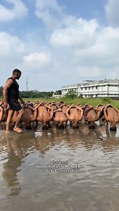 2M views · 527K reactions | Commando Position  | Jitendra Perval | Facebook