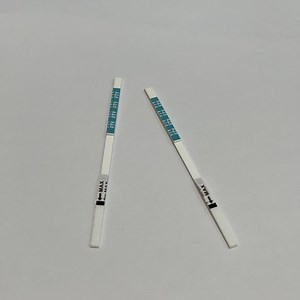[Hot Item] Microalbumin Alb Urine Rapid Test Strip Renal Dysfunction