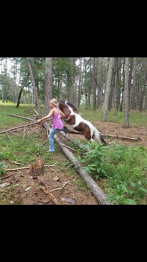 Jumping logs for our riding lesson today 😁🐴 #minihorse | SonRidge Farm