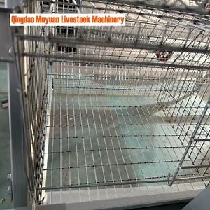 [Hot Item] Reasonable Space for Chick Cages, Layer Cages/Poultry Farming