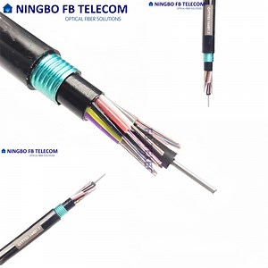 [Hot Item] High Quality FTTH Stranded Loose Tube Light-Armored Cable