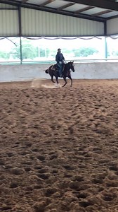 Lloyd Cox Cutting Horses on Reels
