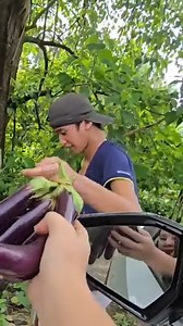 8.3M views · 399K reactions | Full video ni Aiken PWD na naglalako ng panindang talong sa laht ng nkapgbigay ng tulong mula sating mababuting kababayan po ntin godbless u all po sainyong laht at hanggang sa napatayuan natin sya ng tindahan , sa mga sumuporta sakin salmt din po sainyo❤️ meron tayong napabagong buhay ng isang pwd ngttinda ng talong❤️#ROSAROSALVLOG | ROSA ROSAL VLOG | Facebook