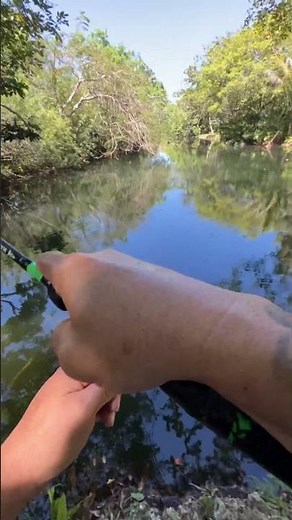 Amazon Fishing in Miami