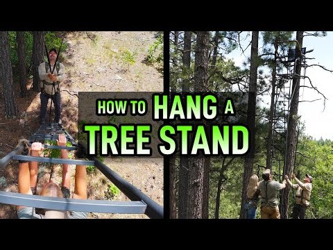 How To Hang A Tree Stand | Tree Stand Safety